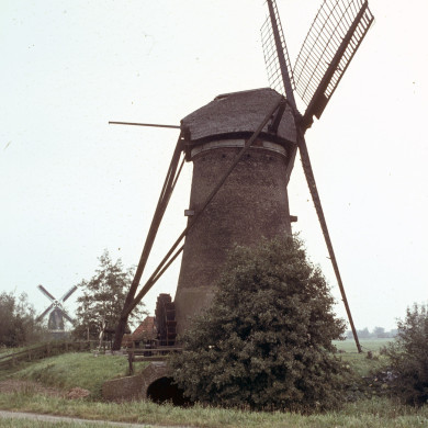 Rijksdienst voor het Cultureel Erfgoed