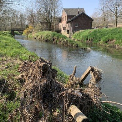 Rijksdienst voor het Cultureel Erfgoed: Bogers, Guido