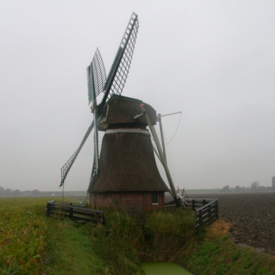 Rijksdienst voor het Cultureel Erfgoed: Terpstra, Frank