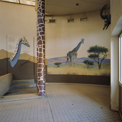 Rijksdienst voor het Cultureel Erfgoed: Wal, A.J. van der