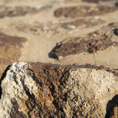 Rijksdienst voor het Cultureel Erfgoed: Sar, Wouter van der