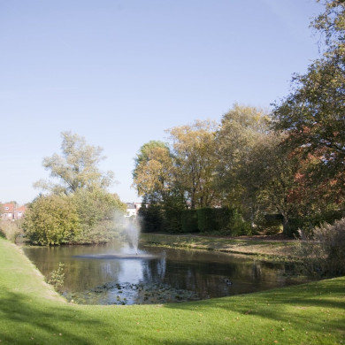 Rijksdienst voor het Cultureel Erfgoed: Technau, Sergé