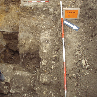 Rijksdienst voor het Cultureel Erfgoed