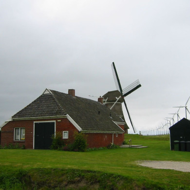 Rijksdienst voor het Cultureel Erfgoed: Terpstra, Frank