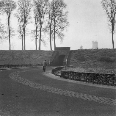 Rijksdienst voor het Cultureel Erfgoed: Delemarre, G.Th.