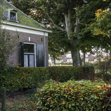 Rijksdienst voor het Cultureel Erfgoed: Jong, Nanette de