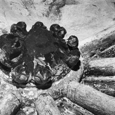 Rijksdienst voor het Cultureel Erfgoed: Tangel, L.M.