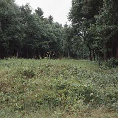 Rijksdienst voor het Cultureel Erfgoed: Roderburg, K. (Kris)