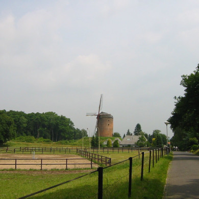 Rijksdienst voor het Cultureel Erfgoed: Terpstra, Frank