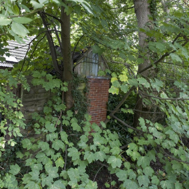 Rijksdienst voor het Cultureel Erfgoed: Booms, C.S. (Chris)