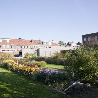 Rijksdienst voor het Cultureel Erfgoed: Technau, Sergé