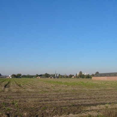 Rijksdienst voor het Cultureel Erfgoed: Terpstra, Frank