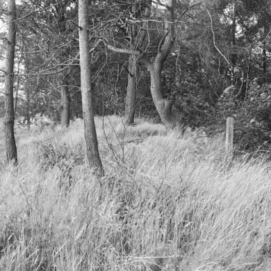 Rijksdienst voor het Cultureel Erfgoed: Galen, P. (Paul) van