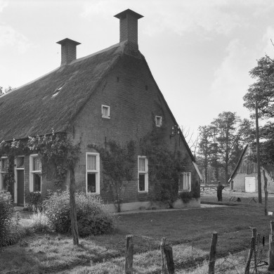 Rijksdienst voor het Cultureel Erfgoed: Delemarre, G.Th.