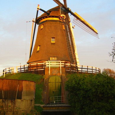 Rijksdienst voor het Cultureel Erfgoed: Terpstra, Frank