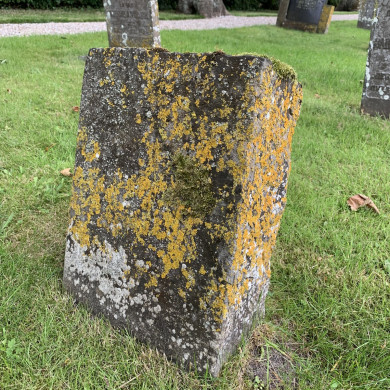 Rijksdienst voor het Cultureel Erfgoed: Bogers, Guido