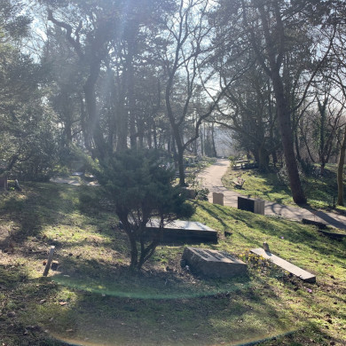 Rijksdienst voor het Cultureel Erfgoed: Bogers, Guido