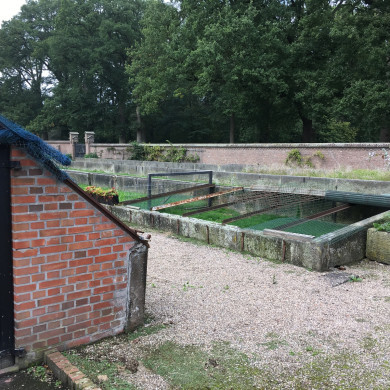 Rijksdienst voor het Cultureel Erfgoed: Wal, Henry van der