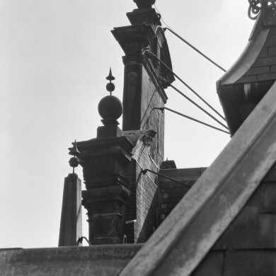 Rijksdienst voor het Cultureel Erfgoed: Delemarre, G.Th.