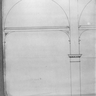 Rijksdienst voor het Cultureel Erfgoed: Rozema, J.