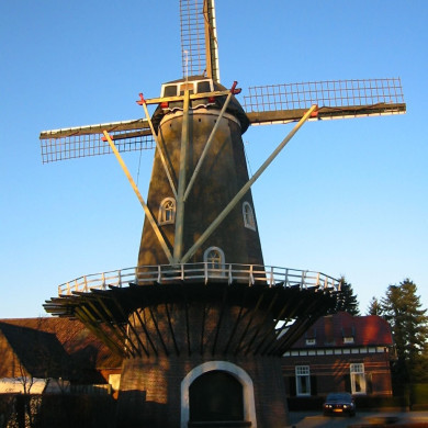 Rijksdienst voor het Cultureel Erfgoed: Terpstra, Frank