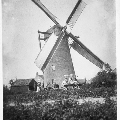 Rijksdienst voor het Cultureel Erfgoed: Koning, J.P. de