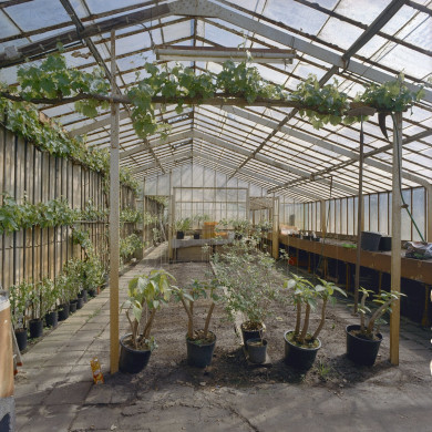 Rijksdienst voor het Cultureel Erfgoed: Heins, IJ.Th.