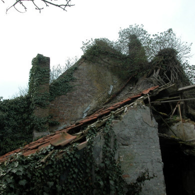 Rijksdienst voor het Cultureel Erfgoed: Rooijen, Jon van