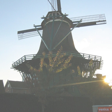 Rijksdienst voor het Cultureel Erfgoed: Terpstra, Frank