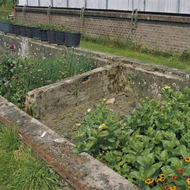 Rijksdienst voor het Cultureel Erfgoed: Heins, IJ.Th.