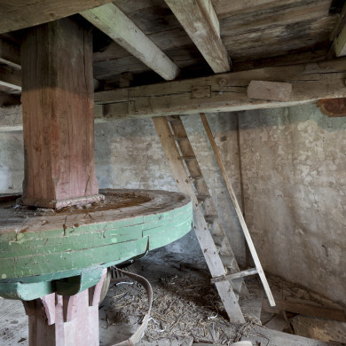 Rijksdienst voor het Cultureel Erfgoed: Booms, C.S. (Chris)