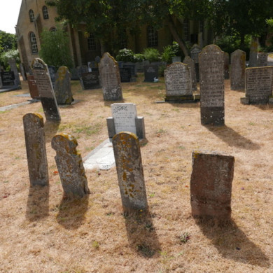 Rijksdienst voor het Cultureel Erfgoed: Dolfin, M. en Erkelens, M.