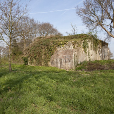 Rijksdienst voor het Cultureel Erfgoed: Booms, C.S. (Chris)-Galen, P. (Paul) van