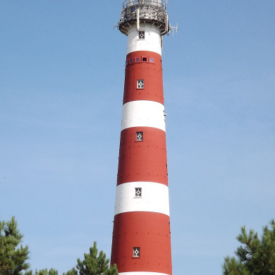 Rijksdienst voor het Cultureel Erfgoed: Nijhuis, D. (Dennis)