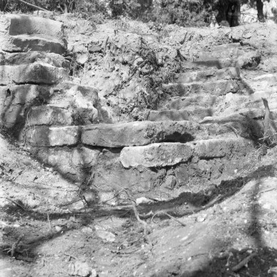 Rijksdienst voor het Cultureel Erfgoed