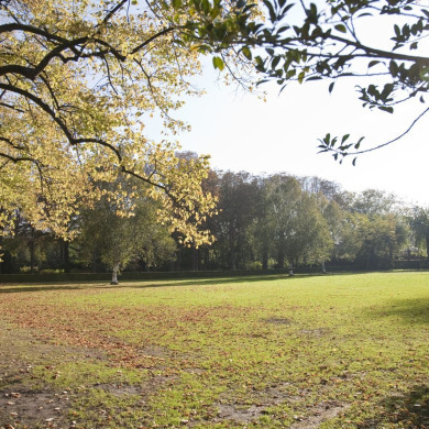 Rijksdienst voor het Cultureel Erfgoed: Technau, Sergé