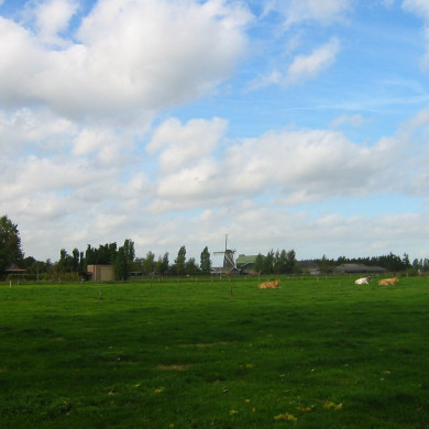 Rijksdienst voor het Cultureel Erfgoed: Terpstra, Frank