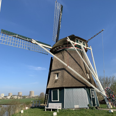 Rijksdienst voor het Cultureel Erfgoed: Bogers, Guido