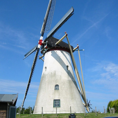 Rijksdienst voor het Cultureel Erfgoed: Terpstra, Frank