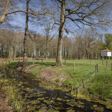 Rijksdienst voor het Cultureel Erfgoed: Sar, Wouter van der