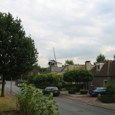 Rijksdienst voor het Cultureel Erfgoed: Terpstra, Frank