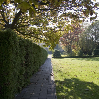 Rijksdienst voor het Cultureel Erfgoed: Technau, Sergé
