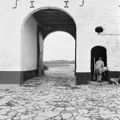 Rijksdienst voor het Cultureel Erfgoed: Tangel, L.M.