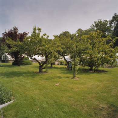 Rijksdienst voor het Cultureel Erfgoed: Heins, IJ.Th.