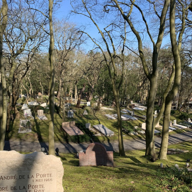 Rijksdienst voor het Cultureel Erfgoed: Bogers, Guido