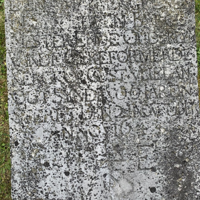 Rijksdienst voor het Cultureel Erfgoed: Bogers, Guido