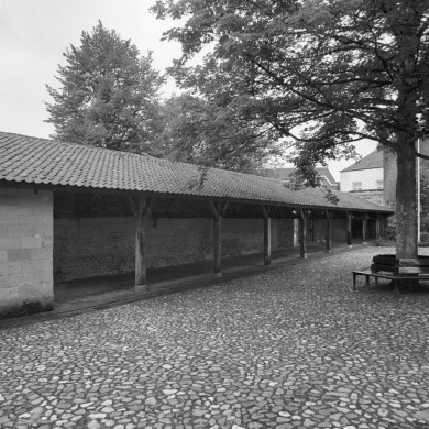 Rijksdienst voor het Cultureel Erfgoed: Tangel, L.M.