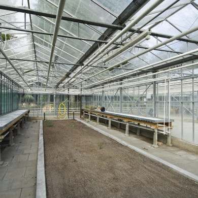 Rijksdienst voor het Cultureel Erfgoed: Galen, Jan van