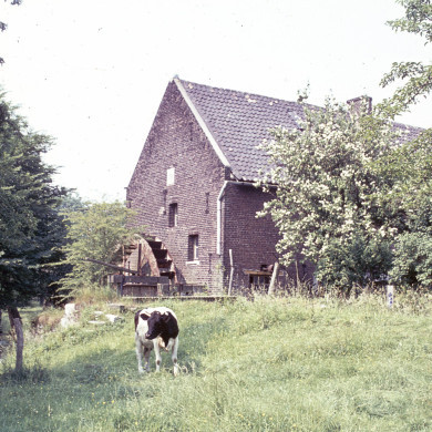 Rijksdienst voor het Cultureel Erfgoed