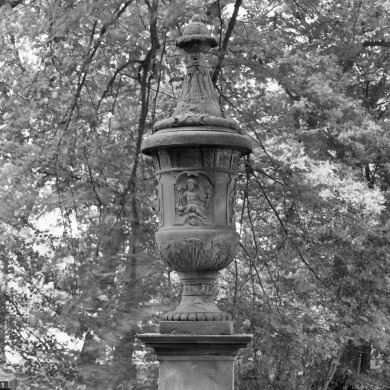 Rijksdienst voor het Cultureel Erfgoed: Wal, A.J. van der